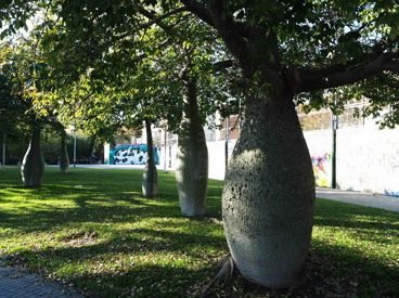 Barcelona has some curious bottle trees